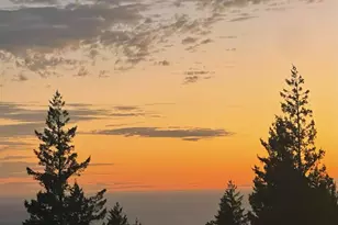 44801 Fish Rock Rd, Gualala, CA 95445 - Photo 44