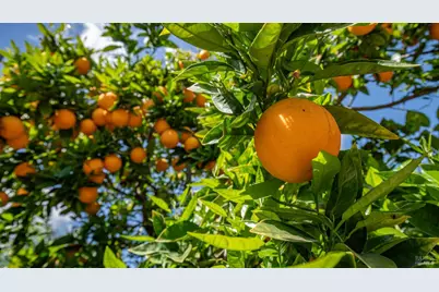 2571 Sunrise Drive, Fairfield, CA 94533 - Photo 34