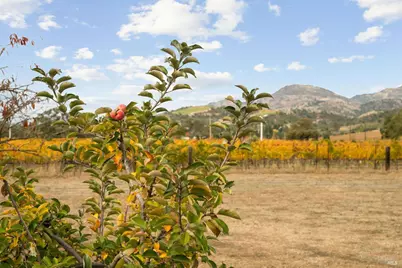 4171 Silverado Trail, Napa, CA 94558 - Photo 38