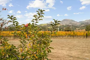 4171 Silverado Trail, Napa, CA 94558 - Photo 38