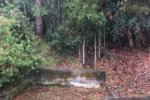 7251 Fircrest Ave, Sebastopol, CA 95472 - Photo 24