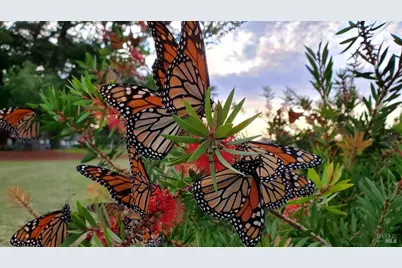 620 El Salto Drive, Capitola, CA 95010 - Photo 16