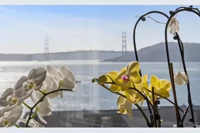 2350 Paradise Drive, Tiburon, CA 94920 - Photo 4