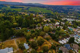 6640 1st St, Forestville, CA 95436 - Photo 34