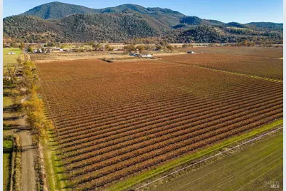 4150 Gaddy Lane, Kelseyville, CA 95451 - Photo 22