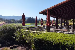 6468 Washington St, Yountville, CA 94599 - Photo 22