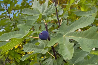 19453 Mountain Meadow, Hidden Valley Lake, CA 95467 - Photo 30