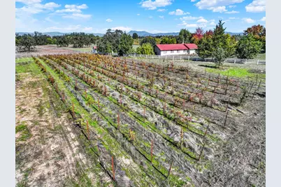 5695 Bravo Toro Lane, Santa Rosa, CA 95401 - Photo 16