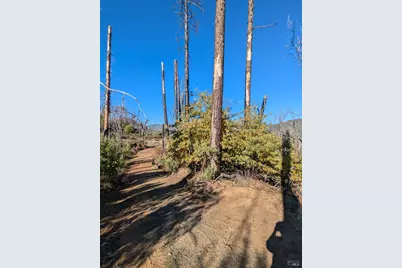 1833 Hunter Point Road, Upper Lake, CA 95485 - Photo 16