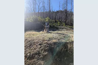 1833 Hunter Point Road, Upper Lake, CA 95485 - Photo 38