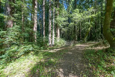 1 Meadow View Lane, San Geronimo, CA 94963 - Photo 14