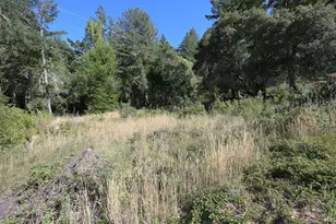 1 Meadow View Ln, San Geronimo, CA 94963 - Photo 2