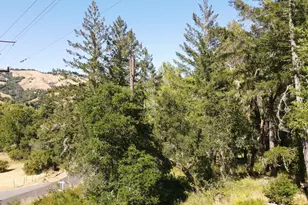 1 Meadow View Ln, San Geronimo, CA 94963 - Photo 8