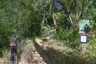 1 Meadow View Lane, San Geronimo, CA 94963 - Photo 12