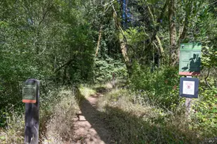 1 Meadow View Ln, San Geronimo, CA 94963 - Photo 12