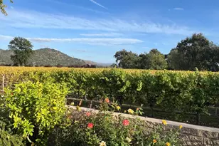 105 Claret Cir, Yountville, CA 94559 - Photo 4