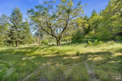 3500 Mount Veeder Road, Napa, CA 94558 - Photo 36