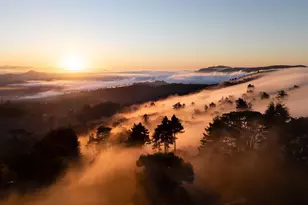 20 Palm Way, Mill Valley, CA 94941 - Photo 56