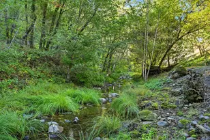 5251 Dry Creek Rd, Napa, CA 94558 - Photo 34