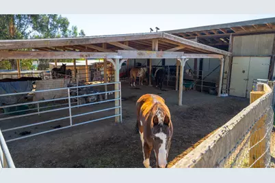 487 Ormsby Lane, Petaluma, CA 94954 - Photo 32