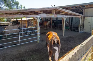 487 Ormsby Ln, Petaluma, CA 94954 - Photo 32