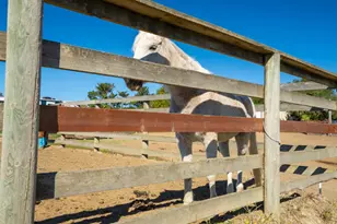 487 Ormsby Ln, Petaluma, CA 94954 - Photo 40