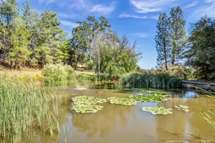 500 Old Long Valley Rd, Clearlake Oaks, CA 95423 - Photo 44