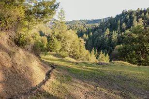 19801 Kelly Rd, Geyserville, CA 95441 - Photo 60