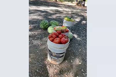 19801 Kelly Road, Geyserville, CA 95441 - Photo 76