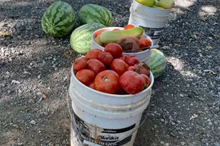 19801 Kelly Rd, Geyserville, CA 95441 - Photo 76