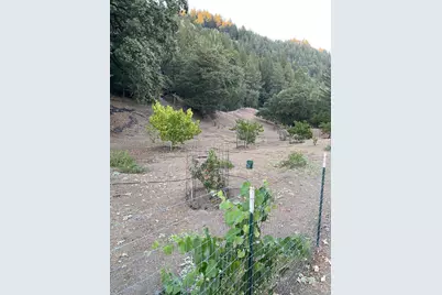 19801 Kelly Road, Geyserville, CA 95441 - Photo 58