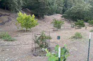 19801 Kelly Rd, Geyserville, CA 95441 - Photo 58