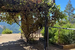 19801 Kelly Rd, Geyserville, CA 95441 - Photo 82