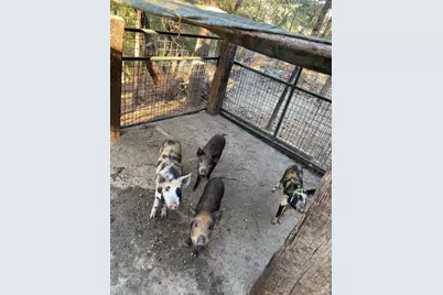 19801 Kelly Road, Geyserville, CA 95441 - Photo 72