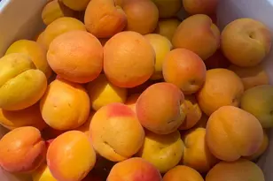 19801 Kelly Rd, Geyserville, CA 95441 - Photo 80