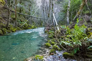 19801 Kelly Rd, Geyserville, CA 95441 - Photo 2