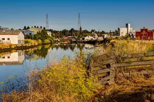 533 Albert Way, Petaluma, CA 94954 - Photo 34