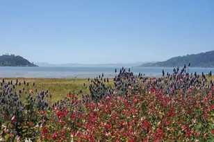 125 Belvedere Ave, Belvedere, CA 94920 - Photo 86