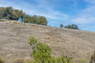 7420 Eastside Potter Valley Rd, Ukiah, CA 95482 - Photo 42