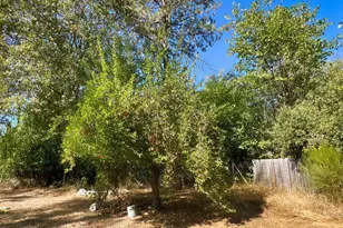 44170 Lakeview Ave, Laytonville, CA 95454 - Photo 20