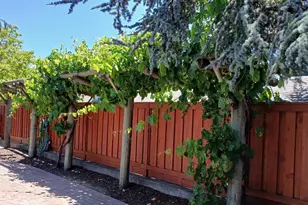 6133 Tamara Ln, Windsor, CA 95492 - Photo 26