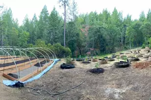 1901 Ten Mile Creek Rd, Laytonville, CA 95454 - Photo 1