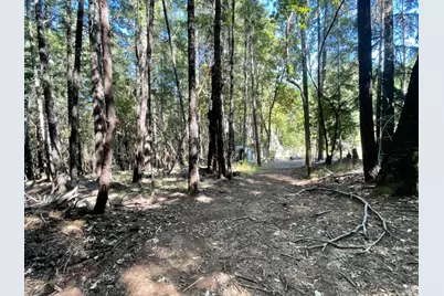 1901 Tenmile Creek Road, Laytonville, CA 95454 - Photo 2