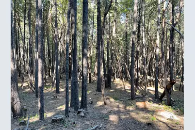 1901 Tenmile Creek Road, Laytonville, CA 95454 - Photo 6