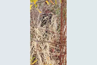 1094 Westridge Drive, Napa, CA 94558 - Photo 4