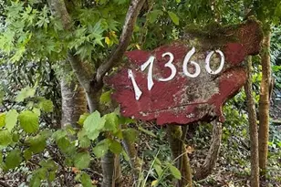 17360 Park Ave, Guerneville, CA 95446 - Photo 4