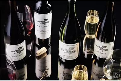 17360 Park Avenue, Guerneville, CA 95446 - Photo 38