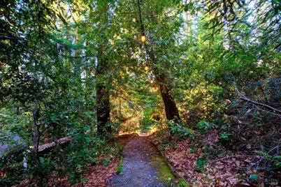 2081 Joy Road, Occidental, CA 95465 - Photo 66