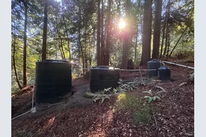 2081 Joy Road, Occidental, CA 95465 - Photo 86