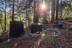 2081 Joy Rd, Occidental, CA 95465 - Photo 86